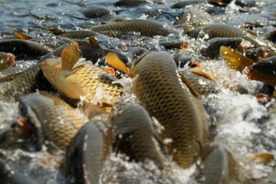 Screenshot_5.jpg