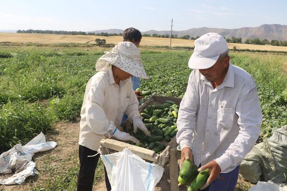 Жеке кәсібімді бастаймын  дегенге мүмкіндік көп