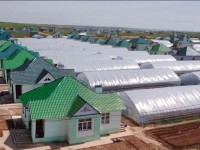 Шымкентте «Асарда» заңға қайшы әрекетер көп