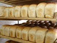 Тұрдалы Сәуірбеков: «Нан бағасы бензин бағасымен теңестірілсе ауыл шаруашылығы гүлденеді»